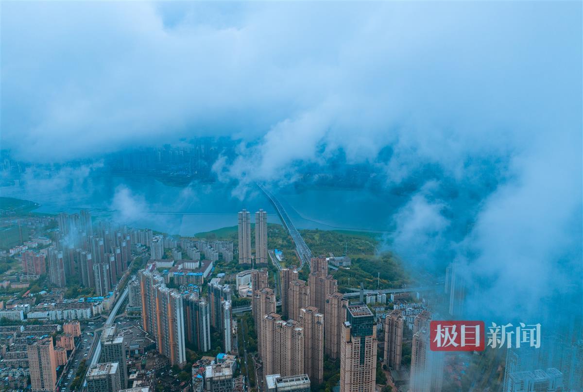 金沙网址
